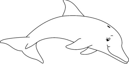 Шаблон дельфина для аппликации (43 фото)
