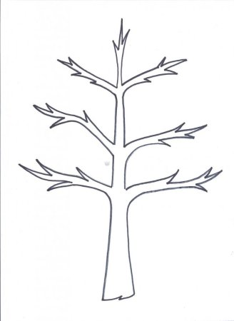 Шаблон дерево с ветками без листьев (50 фото)