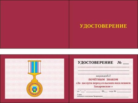 Удостоверение президента школьного самоуправления