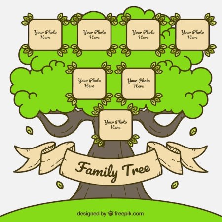 Семейное дерево (my Family Tree)