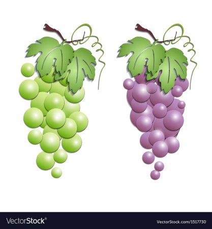 Шаблон винограда для аппликации (40 фото)