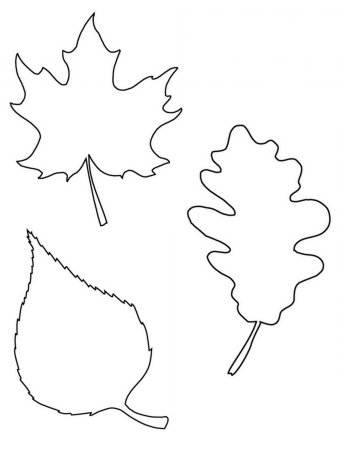 Трафареты осенних листьев для детского сада