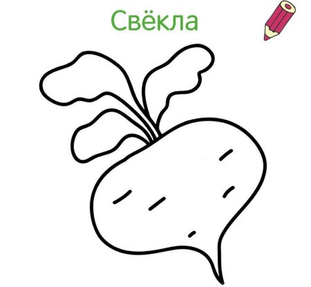 Свекла раскраска для детей