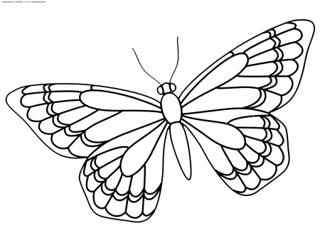 Шаблон бабочка для рисования (44 фото)