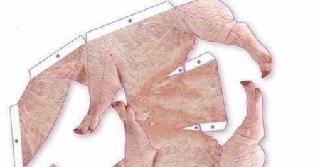 Развертка свиньи