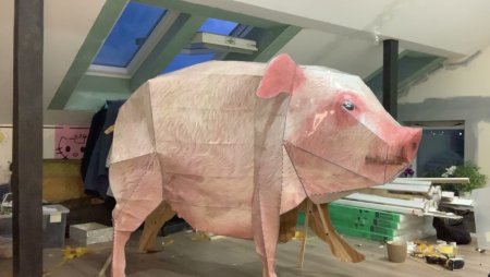 Развёртка свиньи из тик тока