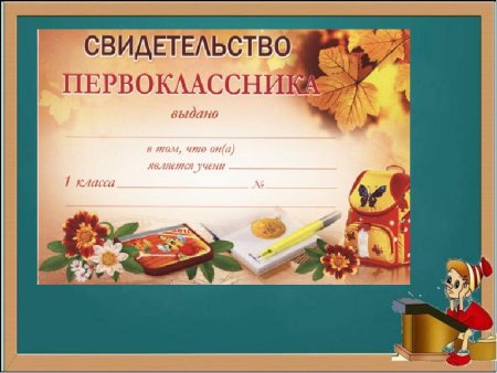 Свидетельство первоклассника
