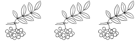 Рябина раскраска