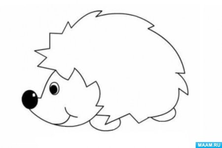 Контур ежика для аппликации