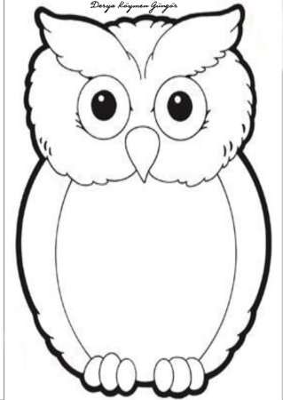 Контуры Совы сбоку