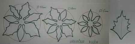 Шаблон цветка пуансеттия