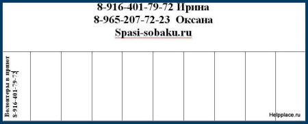 Образец объявления о продаже