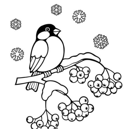 Ветка рябины рисунок