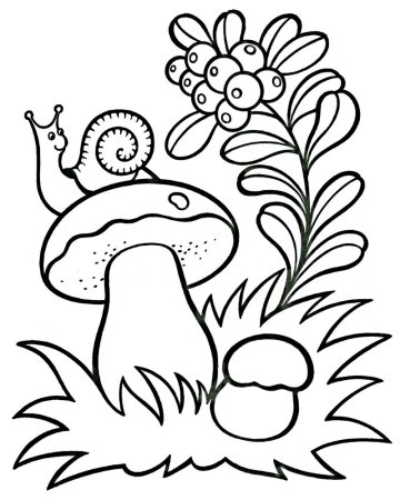 Раскраска. Лето