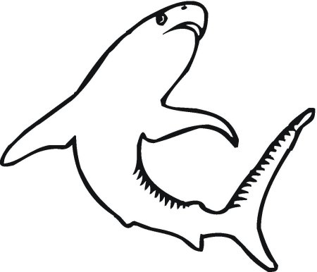 Shark трафарет