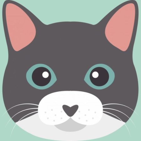 Голова кота