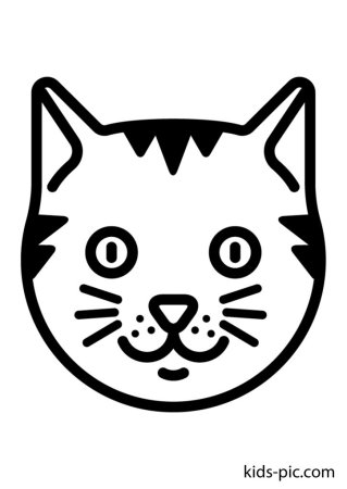 Морда кошки