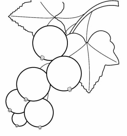 Клубника раскраска
