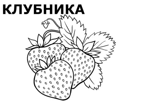Клубника для срисовки карандашом