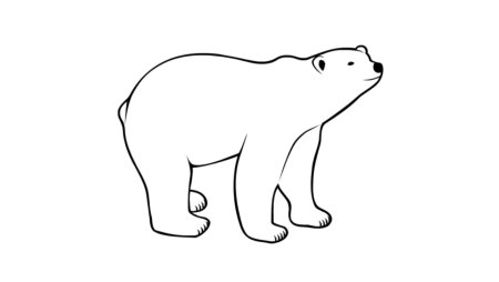 Шаблон белый медведь (42 фото)
