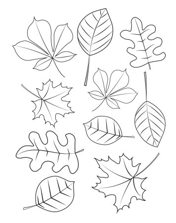 Шаблон осенние листья раскраска (48 фото)