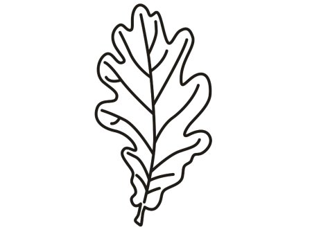 Лист дуба трафарет