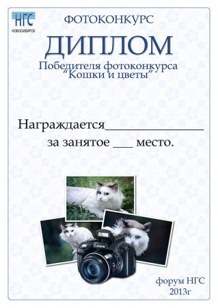 Диплом фотоконкурс