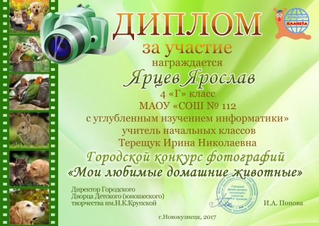 Диплом конкурса фотографий