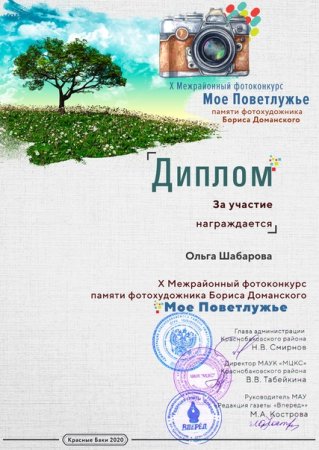 Диплом конкурса фотографий
