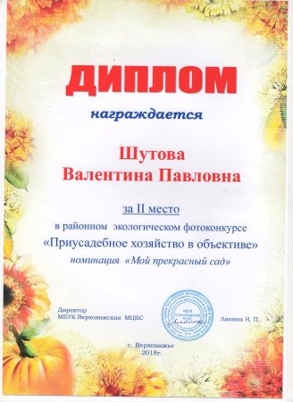 Диплом дизайн