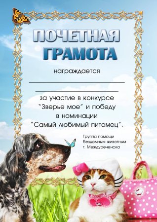 Грамота за участие в конкурсе