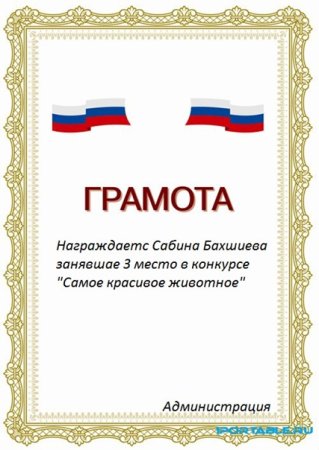 Диплом шаблон