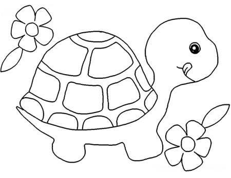Шаблон черепахи (46 фото)