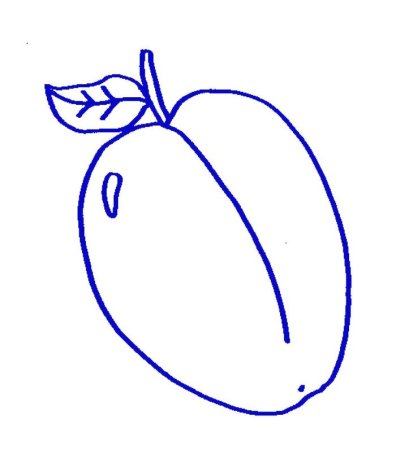 Слива шаблон