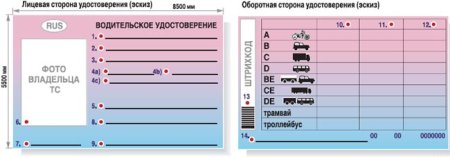 Детское удостоверение водителя