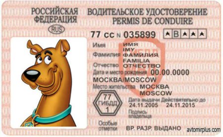 Датские водительские права