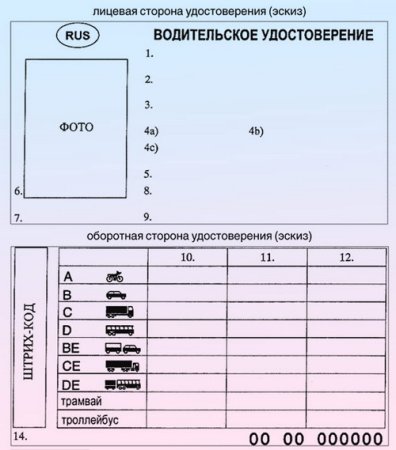 Водительское удостоверение шаблон