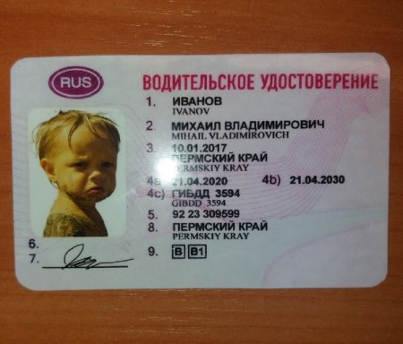Подарочное водительское удостоверение