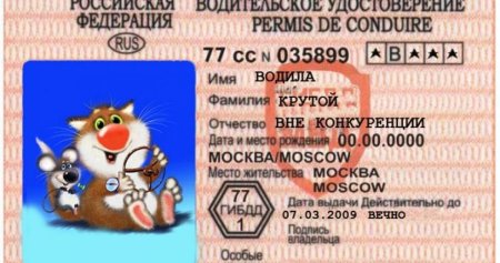 Шуточное водительское удостоверение