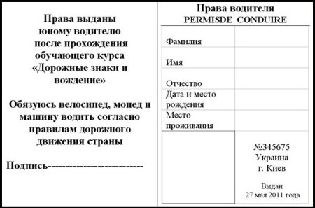 Водительское удостоверение для детей шаблоны