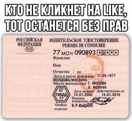 Шуточные водительские права