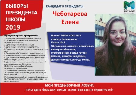 Предвыборная программа в школе
