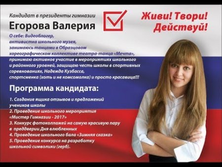 Кандидат в президенты школы