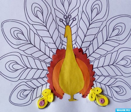 Раскраска Павлин для детей 3-4 лет