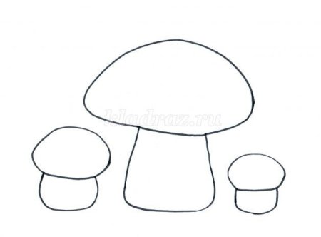 Шаблон гриба для аппликации из крупы (45 фото)