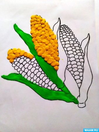 Початок кукурузы раскраска