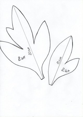 Выкройка пиона из изолона