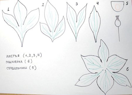 Чашелистик пиона из фоамирана