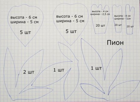 Выкройка пиона из изолона