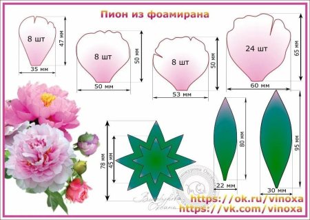 Выкройки лепестков пиона из фоамирана